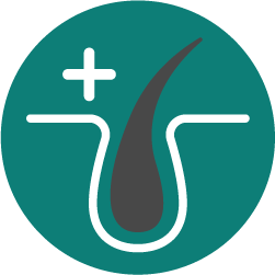 Alt image